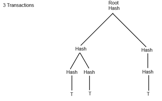 3 transactions merkle tree example