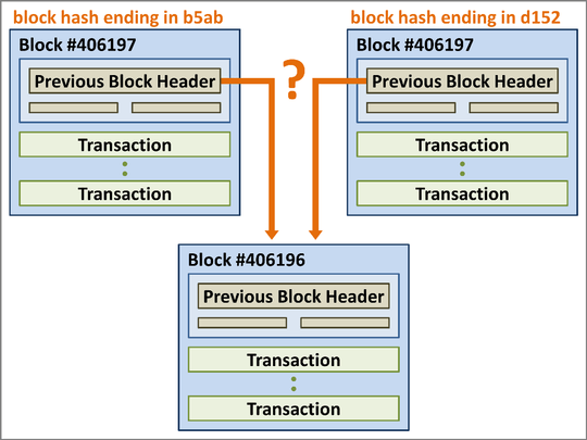 Blockchain Branch