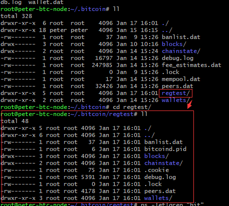 ~/.bitcoin/regtest