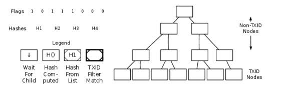 Parsing a merkle block