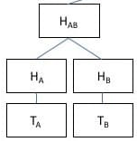 2 leaf merkle tree