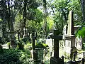 Old graves and tombstones