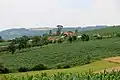 Žabari - panorama
