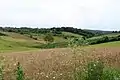Žabari - panorama