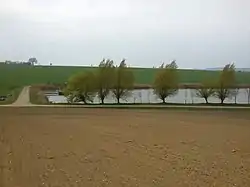 A fish pond in Želeč