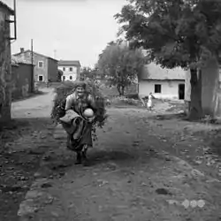 Podbeže in 1955