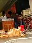 Kanellos near the speakers' table, in the general assembly of students, National Technical University of Athens, 2007