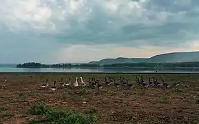 The Bashkiriya National Park, Ural Mountains, Russia.