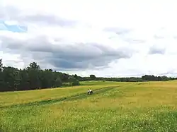 Scene in Batetsky District
