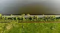 Photo from a drone, road near the reservoir