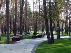 Central Park