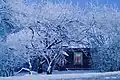 Winter – Belarus