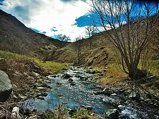 Scenery