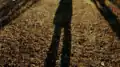 Self-portrait from the video work "In gross steps", 2017