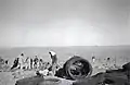 Revadim, February 1947, fencing