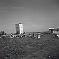 Members of Eitanim building defences Tel Mond, 1947