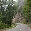 Dalikhani Forest
