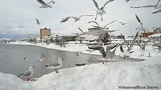 Snow in Tonekabon