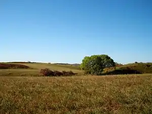 Ulaanbutan grassland