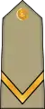 Sergent(Arabic: رقيب, romanized: Raqib)(Algerian Land Forces)