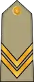 Sergent chef(Arabic: رقيب أول, romanized: Raqib awwal)(Algerian Land Forces)