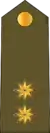 Leytenant(Azerbaijani Land Forces)