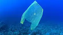 Clear plastic bags (shown) are made of low density polythene (LDPE); blown-film shopping bags with handles are now made of HDPE