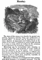From: S.G. Goodrich. A Pictorial Natural History (Boston: James Munroe & Company, 1854)