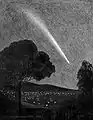 Comet Ikeya–Seki, seen from Canberra, 31 October 1965.  Drawing by David Nicholls.