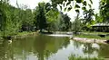 ZOO Lazarevo