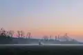 The Drongengoedbos&nbsp;[nl] at dawn