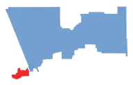 general election