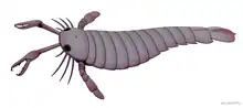Pterygotus was a giant eurypterid that had a nearly cosmopolitan distribution