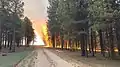 Fire activity on the North end of the Fire on June 14, 2020