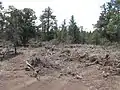 Repaired dozer line on July 4, 2020