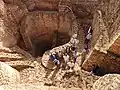 Motilla del Azuer