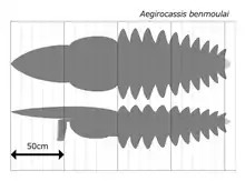 Size estimation