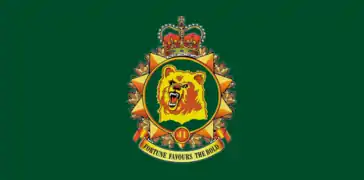 Brigade camp flag