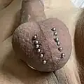 Scrotal ladder (six barbells)
