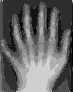 Traced with Potrace in Inkscape to an eight-color SVG image in 2006 (50&nbsp;KB)