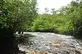 Baramani River