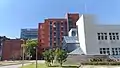 Institute of Plant and Microbial Biology and Agricultural Biotechnology Research Center.