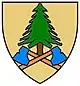 Coat of arms of Bärnkopf