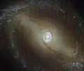 NGC 1433 taken by (LEGUS).
