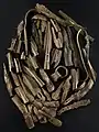 The Late Bronze Age Hoard from Duddingston Loch, Edinburgh