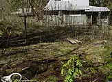 Abandoned Cabin1, Elkmont, TN, April 15, 2004
