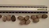 Ripe seeds