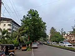 Agnes-Nanthoor Road