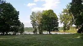 The picnic area in the cottonwood grove