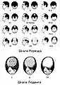 Alopecia scale